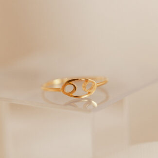 Zodia Ring Set – Zodiac & Birthstone Adjustable Rings